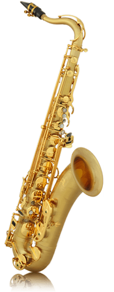 XT Gold Meteor